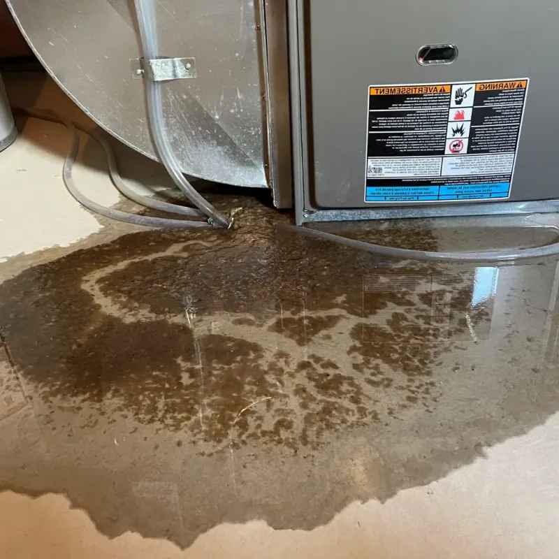 Pipe Burst and Leak Restoration in Conway, PA