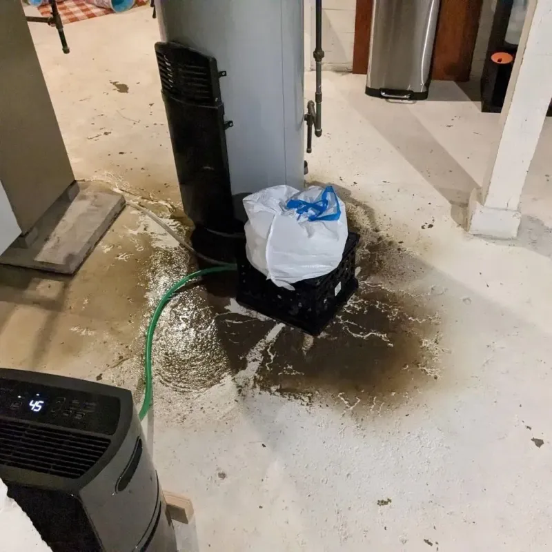 Sewage Backup Cleanup Service in Conway, PA